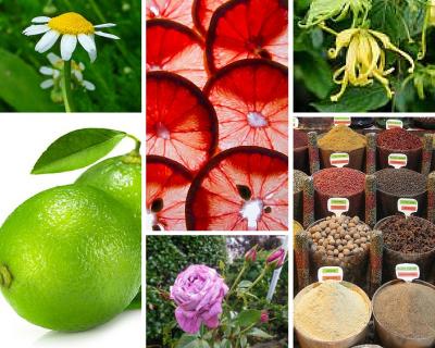Essential oil scents for celebration