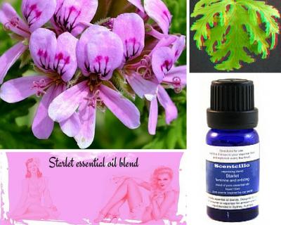Starlet essential oil blend - feminine and enticing
