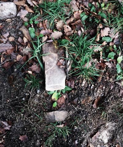 Beautiful soil, Bartosz Bak. beautiful soil