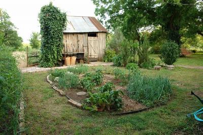 Vegetable garden, Wikimedia commons. vegetable garden