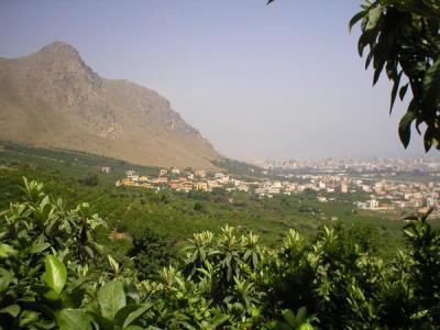 Ciaculli e Monte Grifone