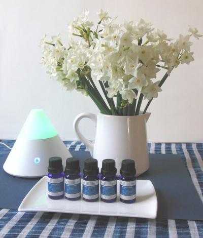 Scentcillo essential oil blends