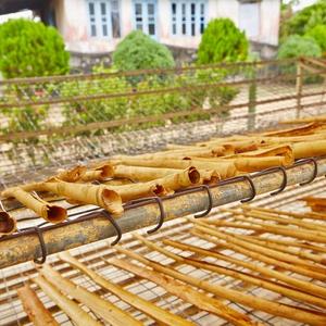 Cinnamon bark quills drying in the sun, Sri Lanka.