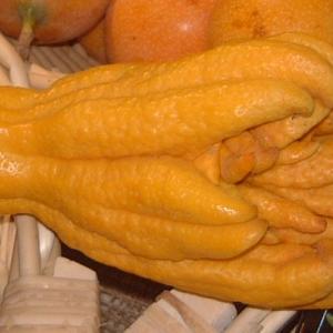 Buddhas Hand