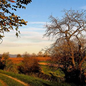 Autumn landscape, M. Wewel via Wikimedia commons. Autumn landscape