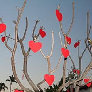 Valentinesdaytree