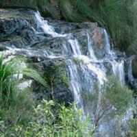 Waterfall in Queensland rainforest.