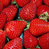 Strawberry3500px